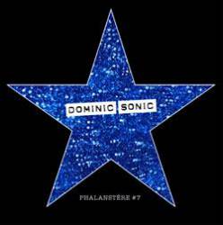 logo Dominic Sonic